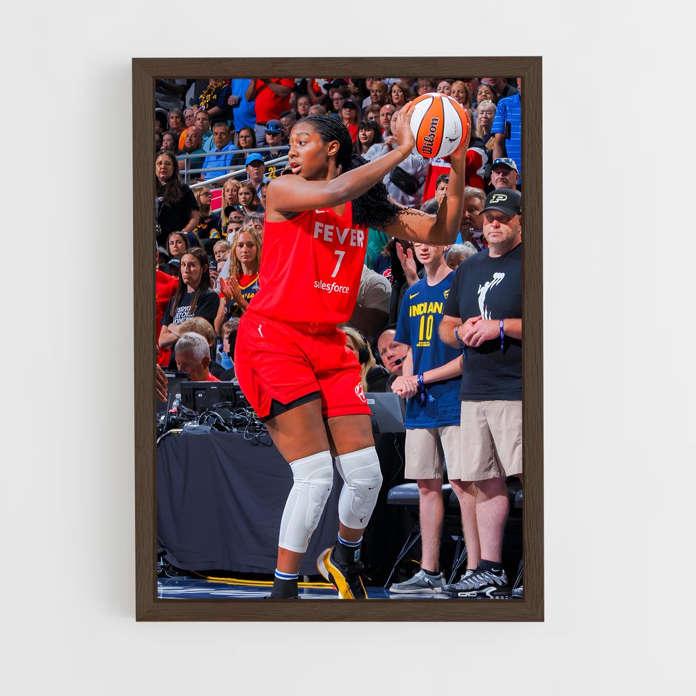 Poster Basketball Fever (vue 5)